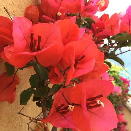 Appartement Le Ghiaie Relax Portoferraio