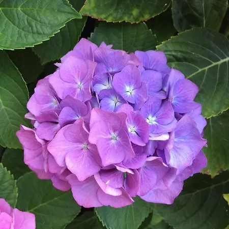 Le Ghiaie Relax بورتوفيرّايو