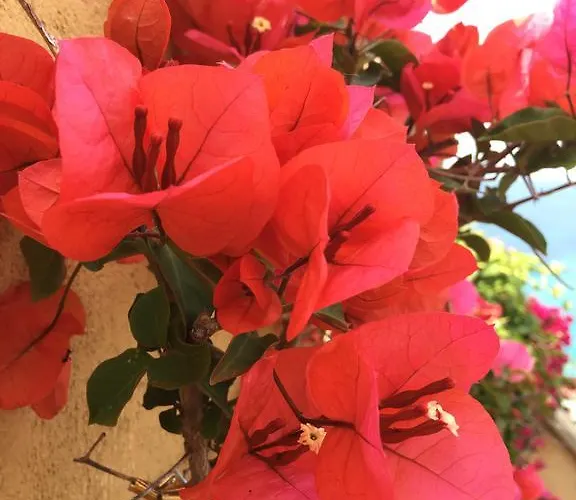 דירה Le Ghiaie Relax פורטופראיו